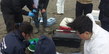 Inspección en planta cloacal de Río Grande