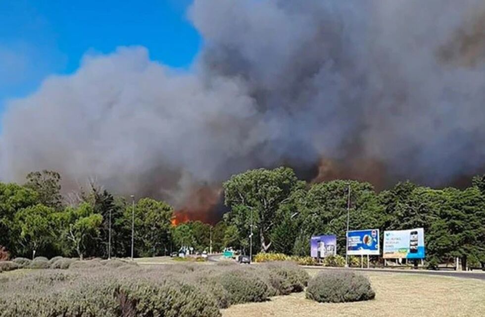 Incendio en Villa Gesell: 50 hectáreas se prendieron fuego y los vecinos fueron evacuados