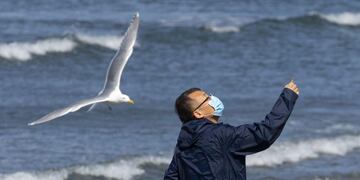EDMONDS, WA - MARCH 29: A seagull snatches a corn chip out of a man's hand on March 29, 2020 in Edmonds, Washington\u002E Social distancing and wearing a mask has become the new normal for some people out in public since the coronavirus (COVID-19) outbreak\u002E Karen Ducey/Getty Images/AFP\n== FOR NEWSPAPERS, INTERNET, TELCOS & TELEVISION USE ONLY ==