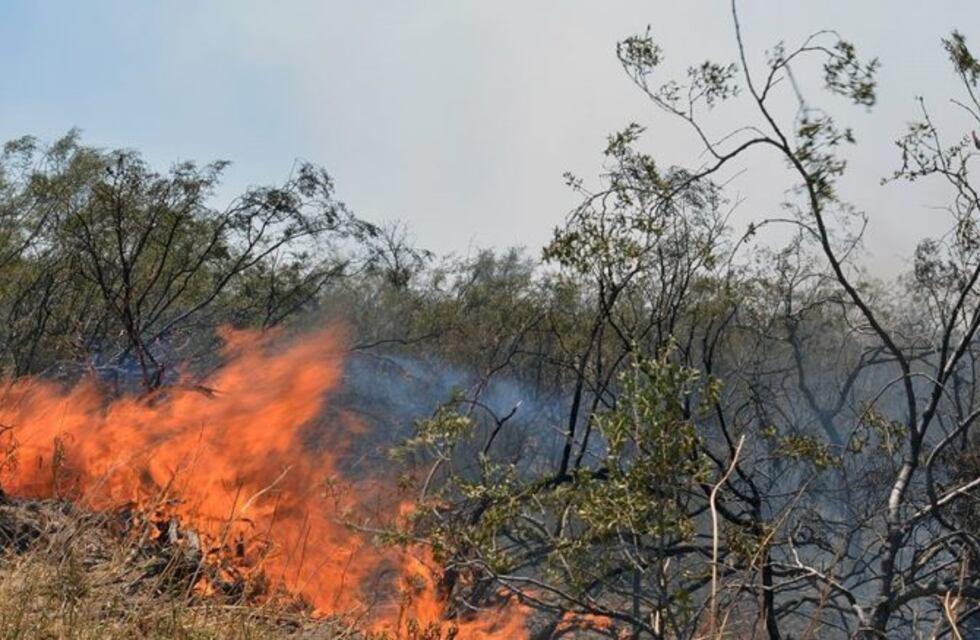 Alerta por posibles incendios forestales