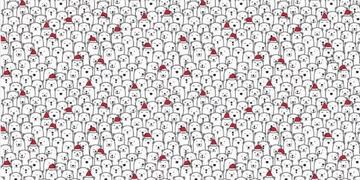 Desafío viral: podés encontrar el perro entre los osos en menos de 3 minutos