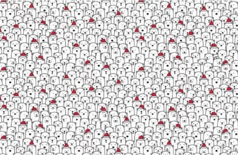 Desafío viral: podés encontrar el perro entre los osos en menos de 3 minutos