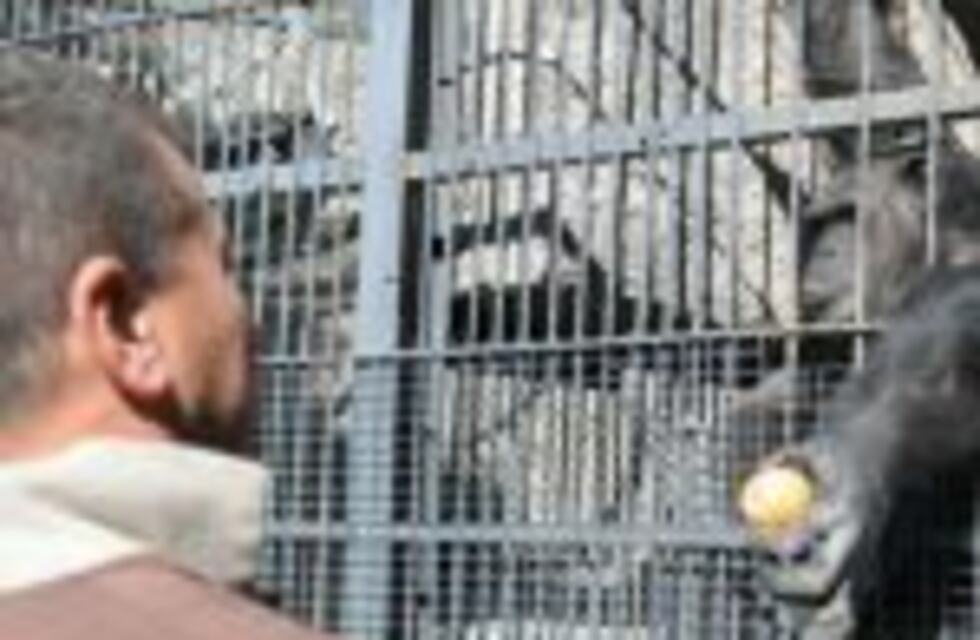 “Es una movida política y mediática sin sentido”, dijo un veterinario del Zoo