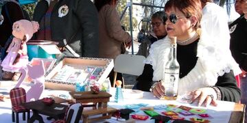 Miniaturas en la feria de Santa Anita, en Jujuy