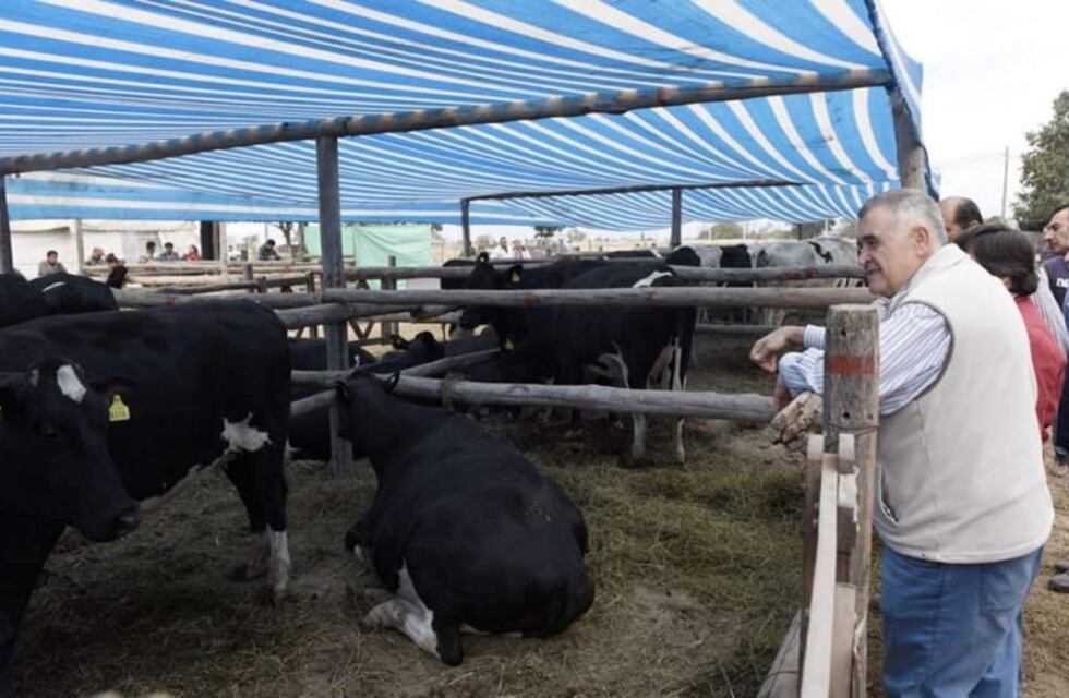 Finalizó la Expo Lactea en Trancas