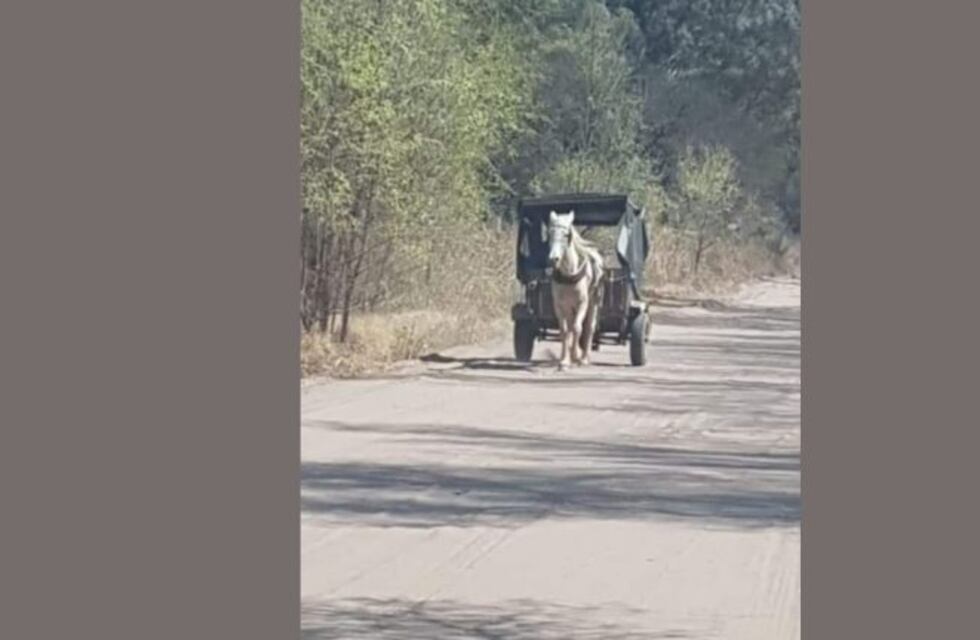 Villa Huidobro: la historia del último lechero a caballo