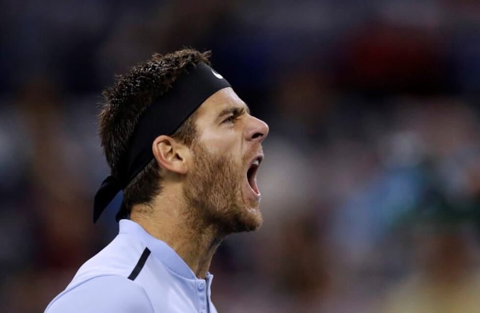 Juan Martín Del Potro se metió entre los mejores ocho del ATP de Estocolmo