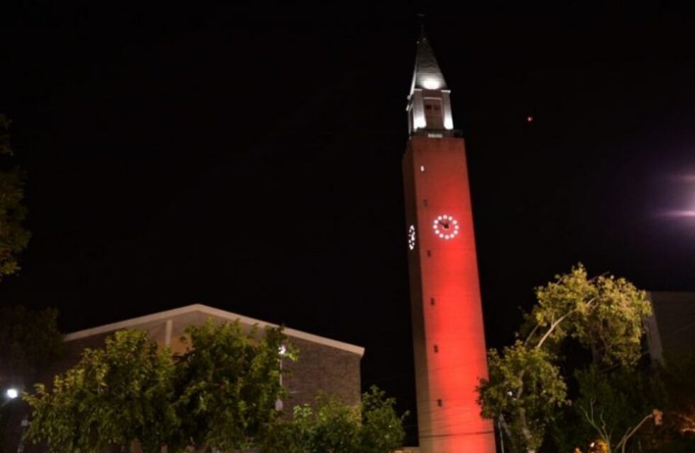 Después de 12 años, reabrieron el Campanil de la Catedral