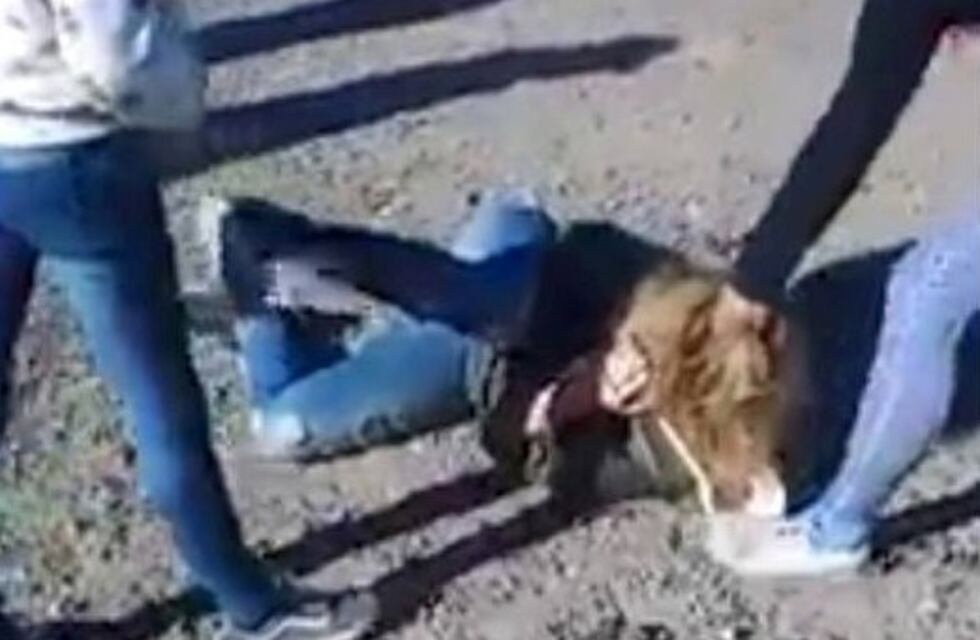 La Justicia intervino tras viralizarse la brutal golpiza a una menor embarazada