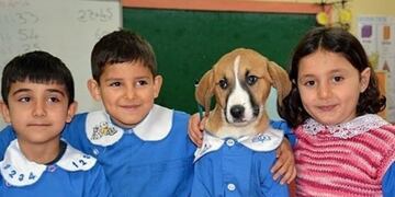 Findik (Twitter/@AnimalParaiso)