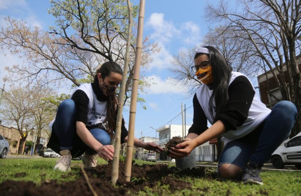 Plan de Forestación 20-25: se plantaron mil nuevos ejemplares