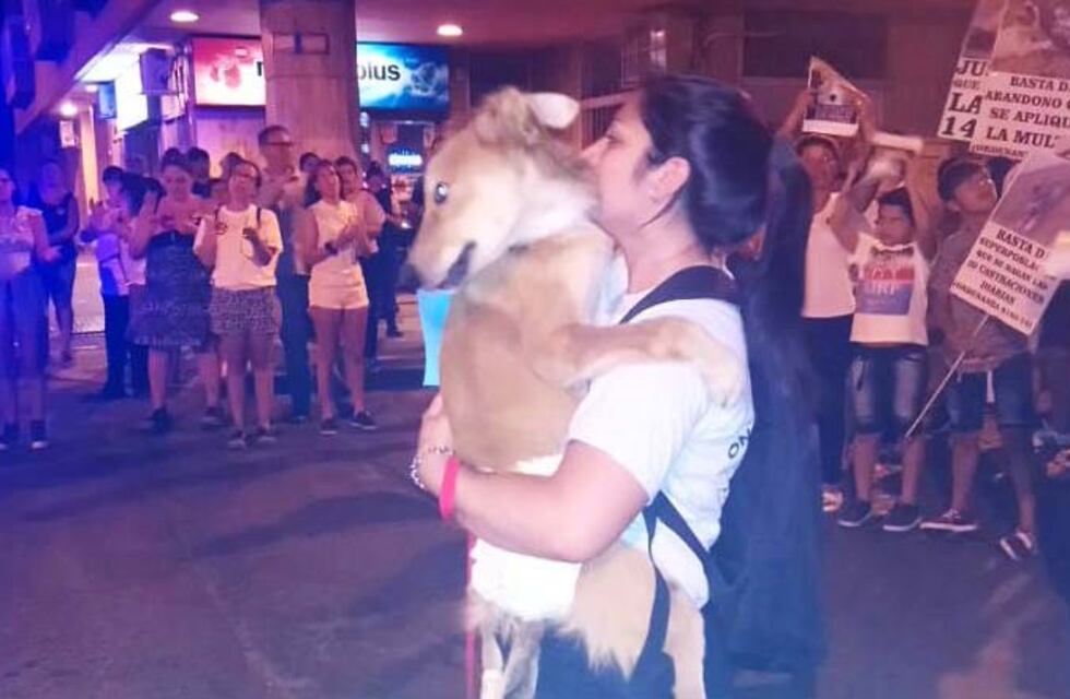 Proteccionistas marcharon contra el maltrato animal y pidieron que se aplique la ordenanza