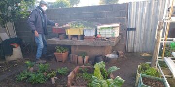 En La Paquita el 75 porciento de los vecinos tiene su huerta