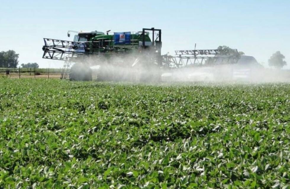 Justicia rafaelina prohíbe fumigar por tierra en un área de 1.000 metros en Sastre