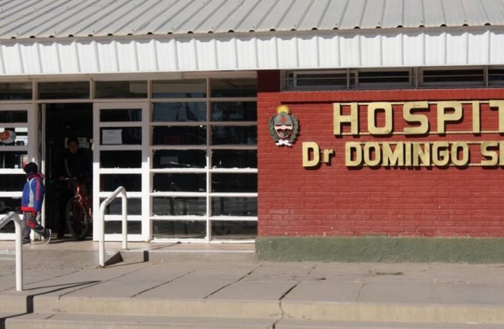 Subió a los gritos a un colectivo en Lavalle y apuñaló a su mujer