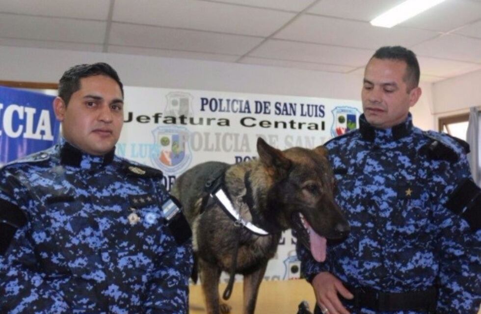El puntano que participó en la búsqueda de Maldonado, le sorprendió el hallazgo del cuerpo