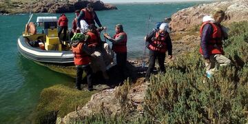 Isla Pinguino Puerto Deseado