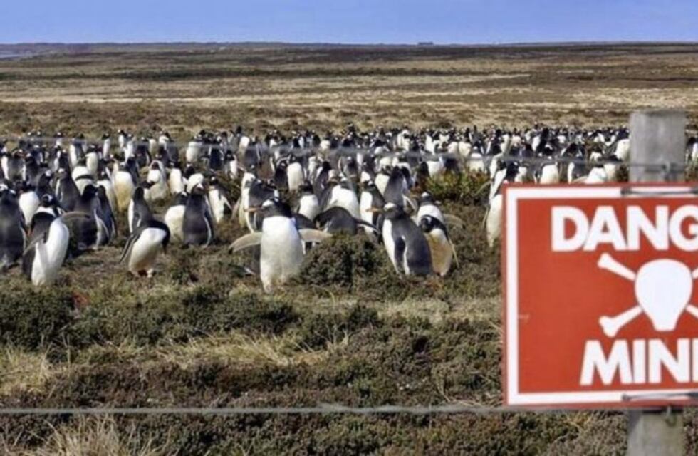 Buscadores de minas zimbabuenses limpian las Malvinas
