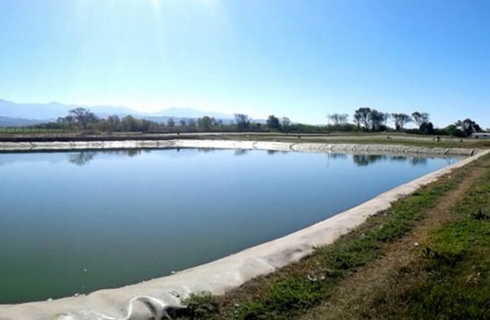 Metán: hallaron el cuerpo de un bebé en la planta depuradora de líquidos cloacales