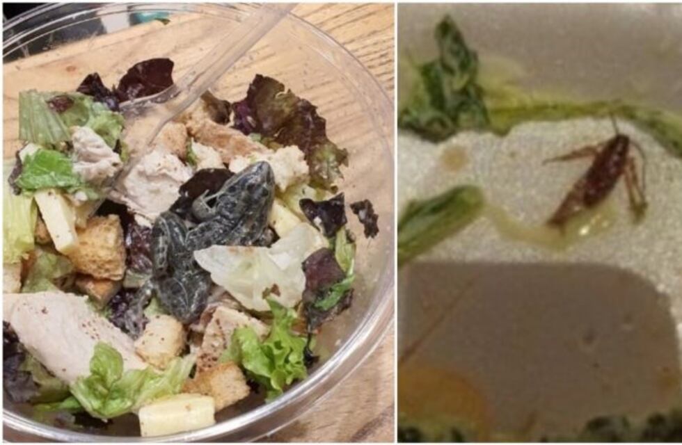 Encontró una cucaracha en su comida en el mismo shopping donde apareció una rana en una ensalada