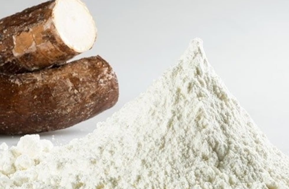 Avanza la construcción de una fábrica de almidón en Esperanza