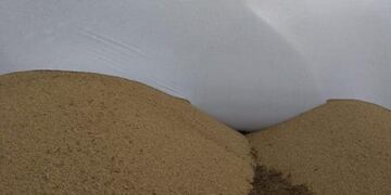 Ataques en un campo de General Levalle