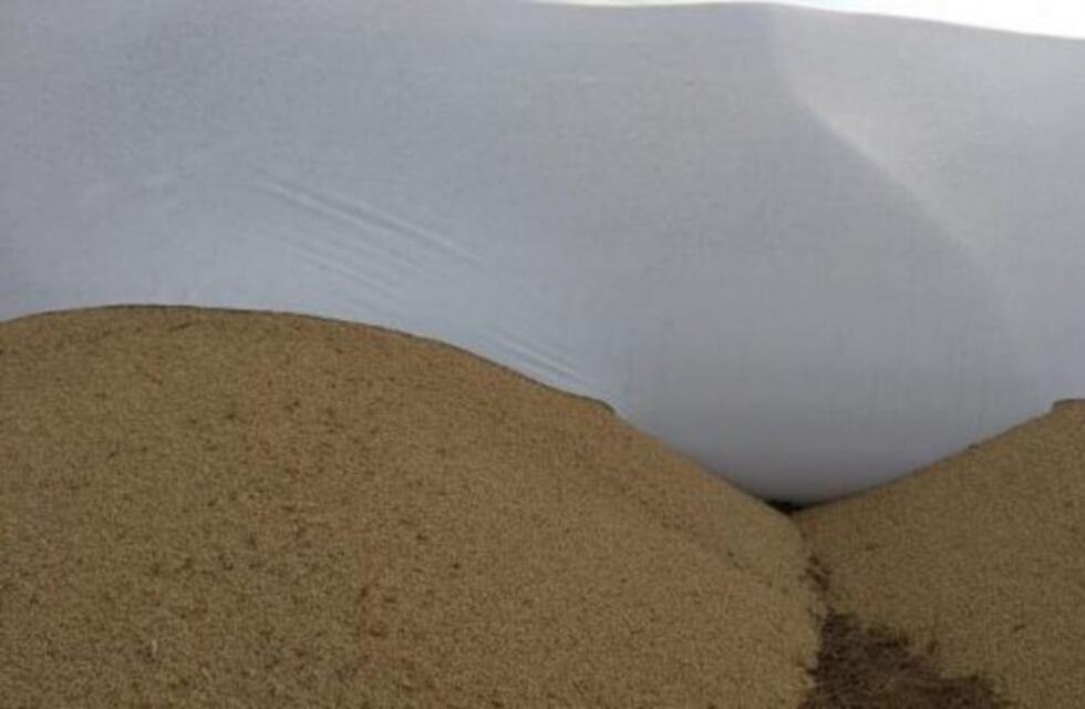 Ataque en General Levalle: rompen silobolsas con soja y maíz