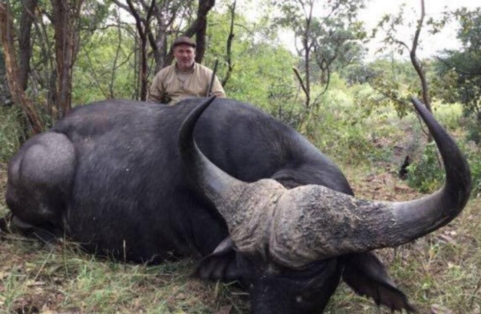 Allanan a empresario que coleccionaba cabezas de animales embalsamados