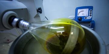 Cannabis products mixed with organic olive oil sit in a laboratory during automated processing at a plant operated by Breath of Life (B\u002EO\u002EL\u002E), in Kfar Pines, Israel, on Wednesday, Sept\u002E 21, 2016\u002E Breath of Life is one of eight licensed firms seeking to position Israel as a global hub for medical cannabis research\u002E Photographer: Rina Castelnuovo/Bloomberg Kfar Pines Israel  laboratorio procesamiento automatizado en una planta operada productos de cannabis mezclados con aceite de oliva organico pais centro mundial de investigacion medica del cannabis