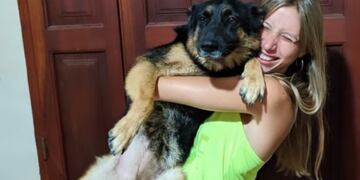 Había perdido a su perra, pero un año después apareció sorpresivamente en su casa\u002E (Twitter @PaulaWilde1)