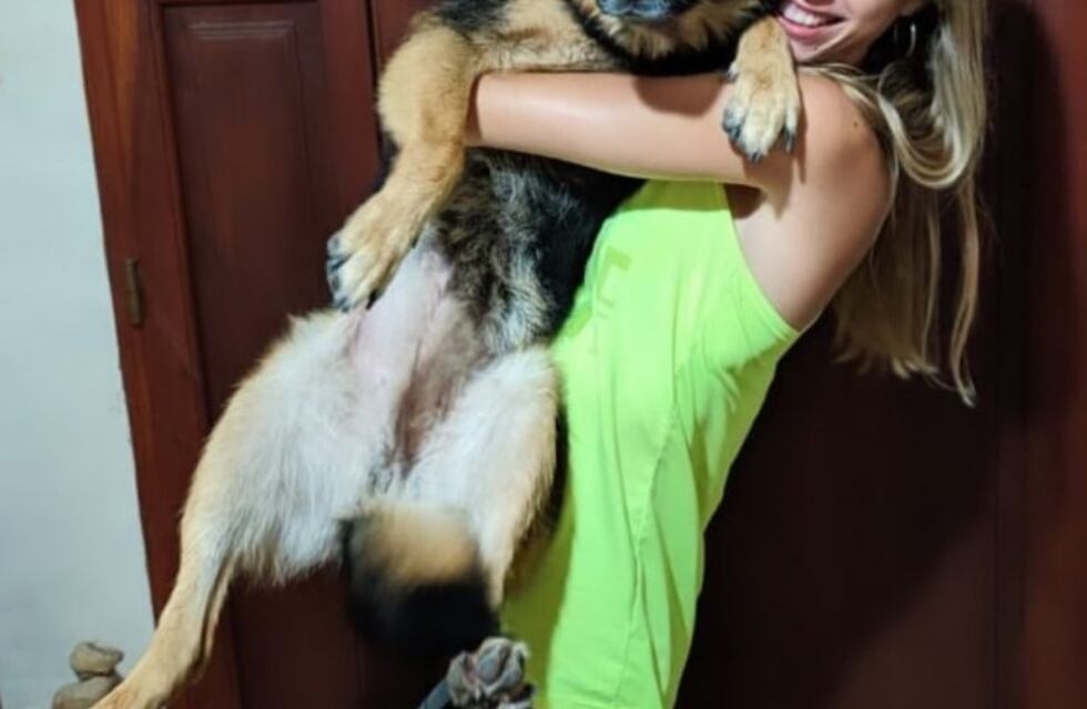 Había perdido a su perra, pero un año después apareció sorpresivamente en su casa