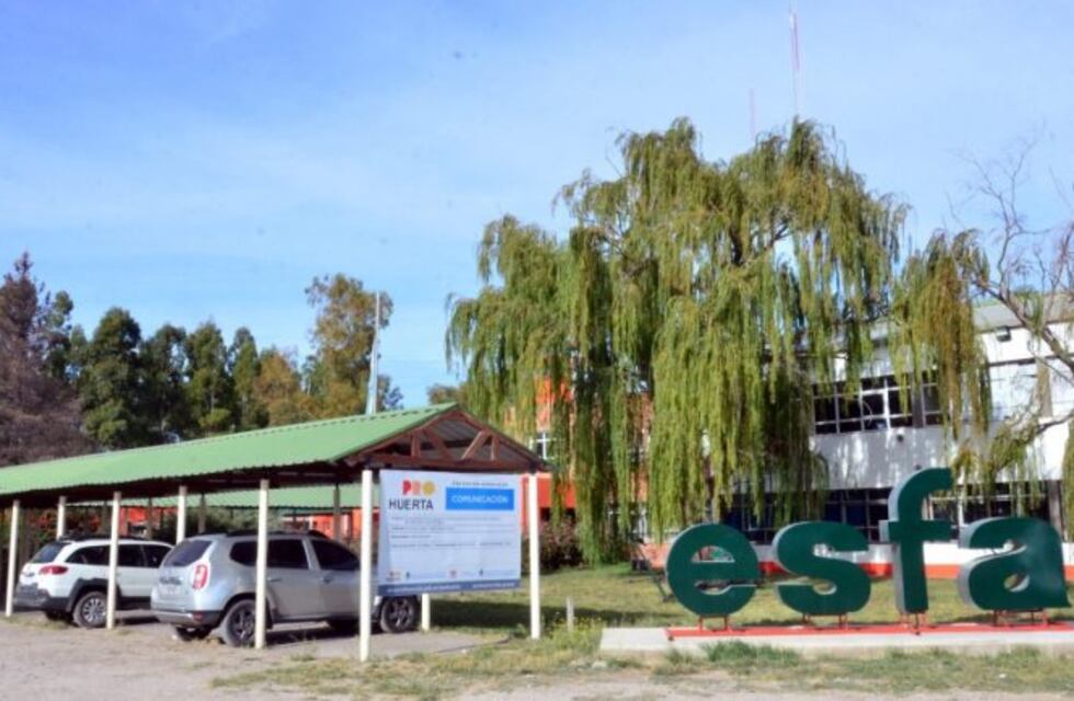 Negaron un cargo en Educación por no cumplir con consignas académicas