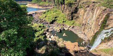 El fenómeno ocurre durante el cierre del Parque Nacional Iguazú por la cuarentena obligatoria\u002E