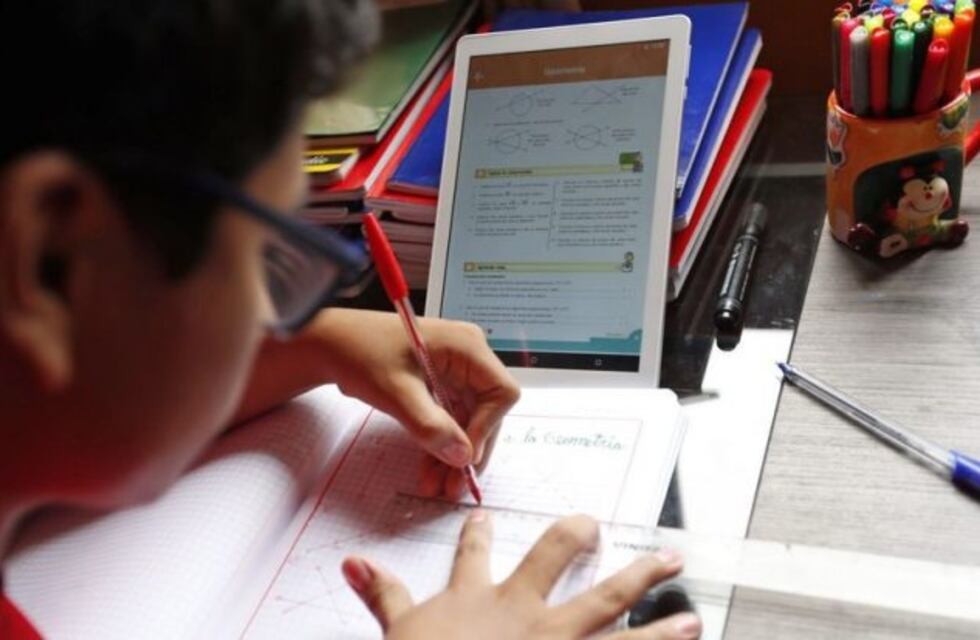 ″No aprendió nada″, dijo una mujer al solicitar que su hijo recurse el año