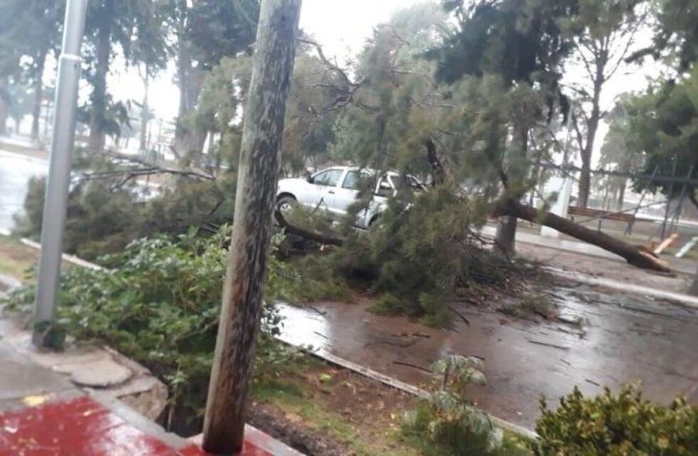 Una fuerte tormenta provocó daños en Alvear y obligó a suspender la Vendimia