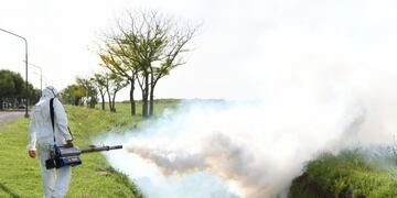 Siguen las fumigaciones para evitar mosquitos (Prensa Municipalidad de Rafaela)