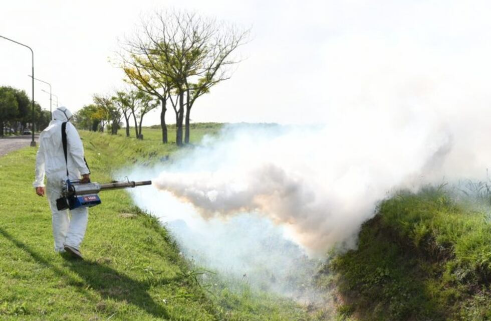 Dengue: insisten en que la fumigación preventiva está contraindicada