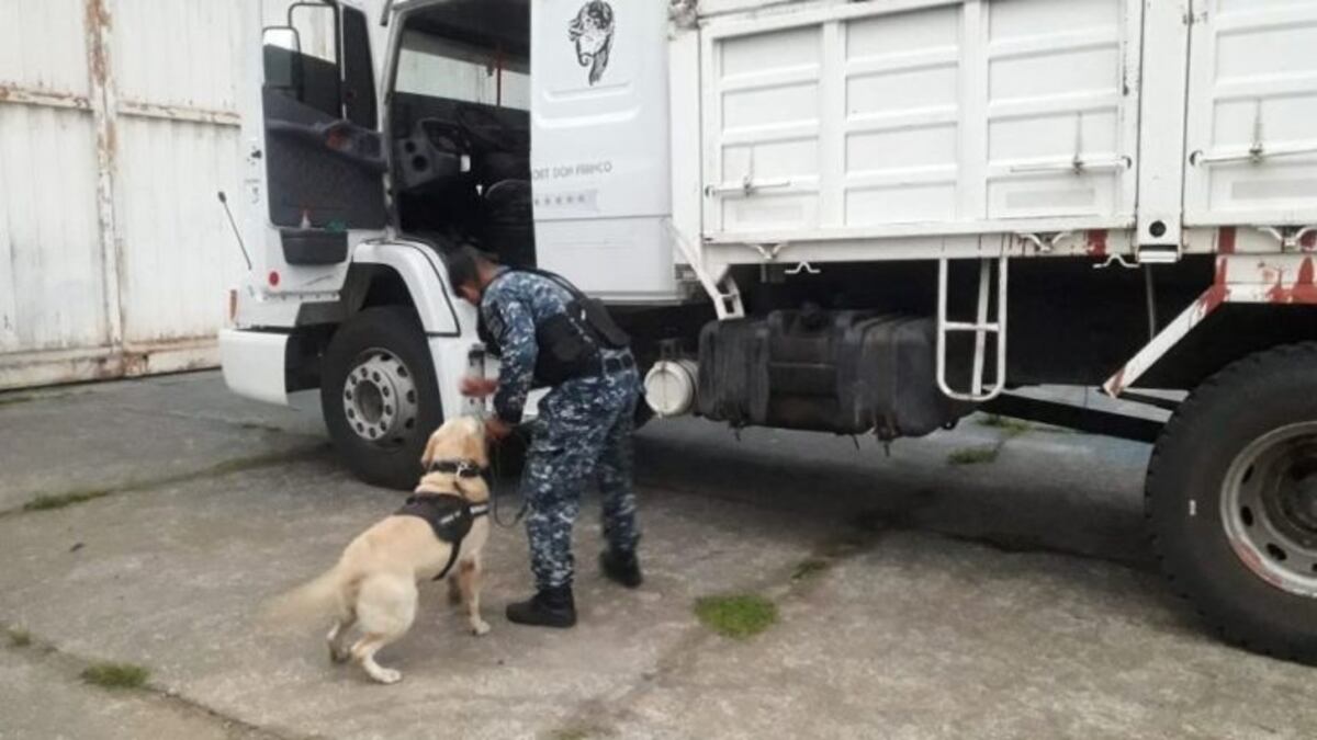 Operativo antinarcóticos, en Jujuy