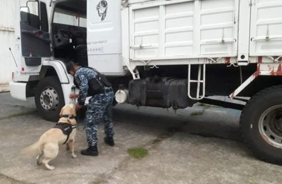 Atraparon "in fraganti" a dos narcotraficantes en Alto Comedero