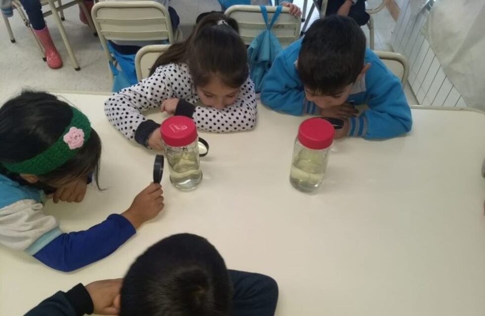 Hicieron prevención sobre dengue, chikungunya y zika a través de juegos