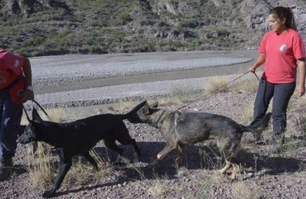Pretenden crear el departamento de perros detectives