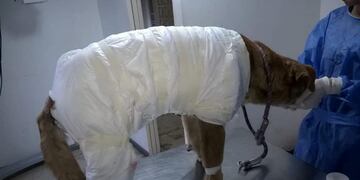 Simón tuvo que quedar internado\u002E