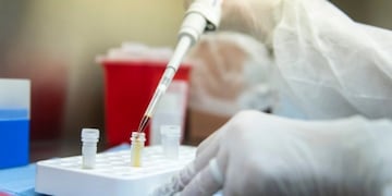 Avanzan con el desarrollo de una vacuna contra el coronavirus en Bariloche