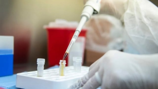 Avanzan con el desarrollo de una vacuna contra el coronavirus en Bariloche