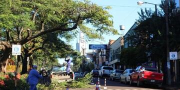 Trabajan en desmalezamiento y poda para despejar cables en espacios públicos de Oberá