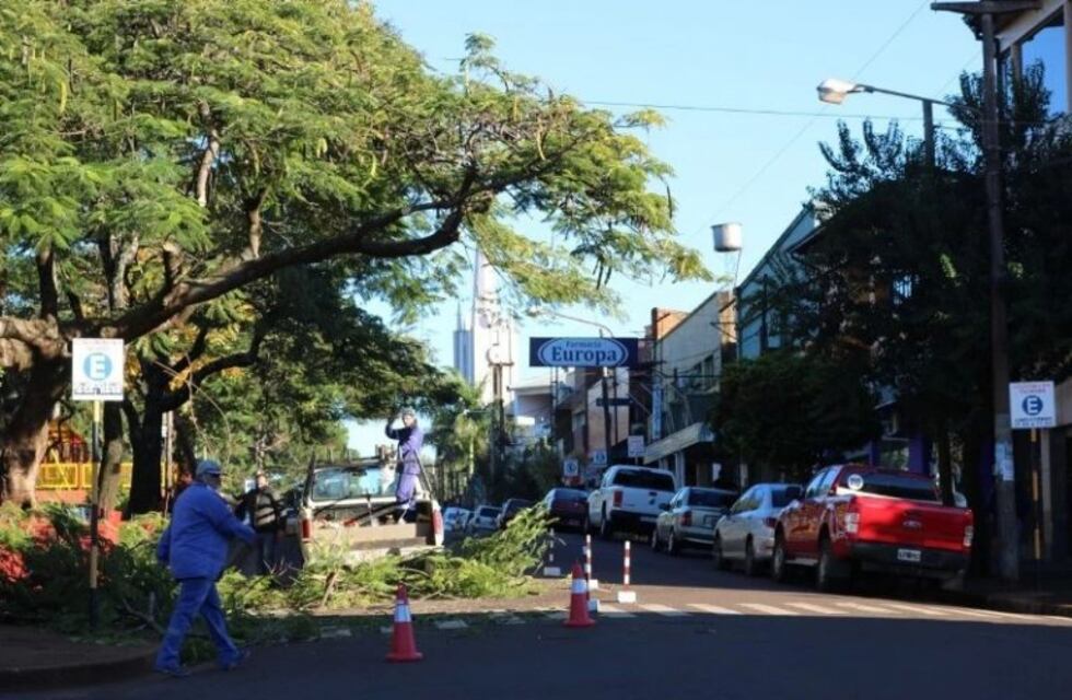 Trabajan en desmalezamiento y poda para despejar cables en espacios públicos de Oberá