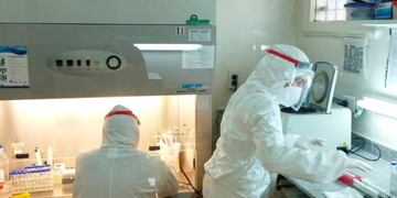 Informe Covid La Pampa (APN)