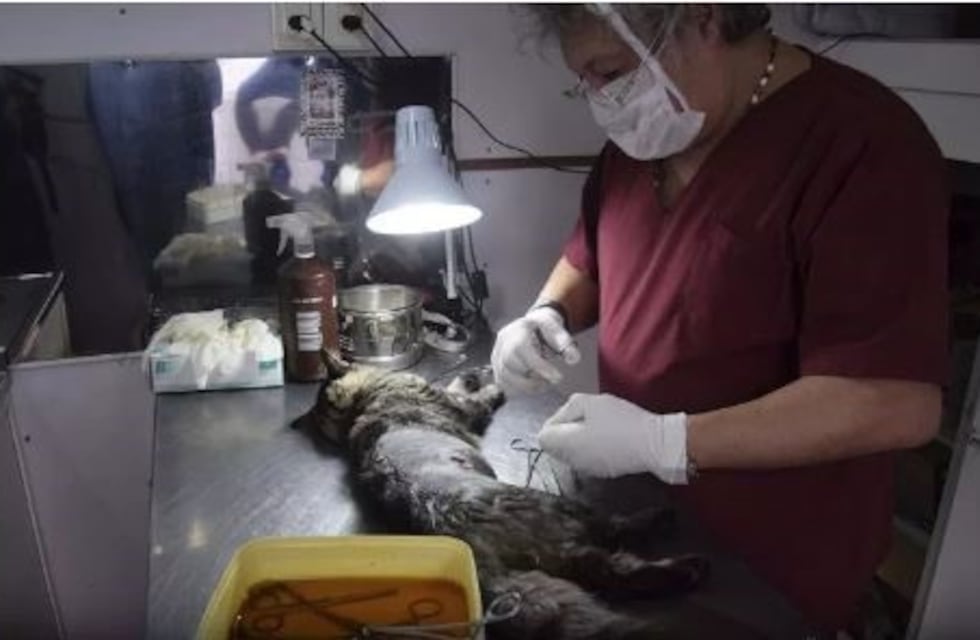 Quirófano móvil y tráiler de salud se encuentran en los barrios