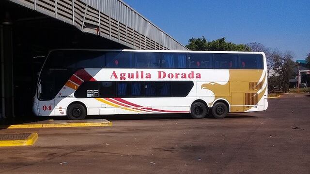 Para este domingo de elecciones, habrá transporte gratuito para concurrir a votar.