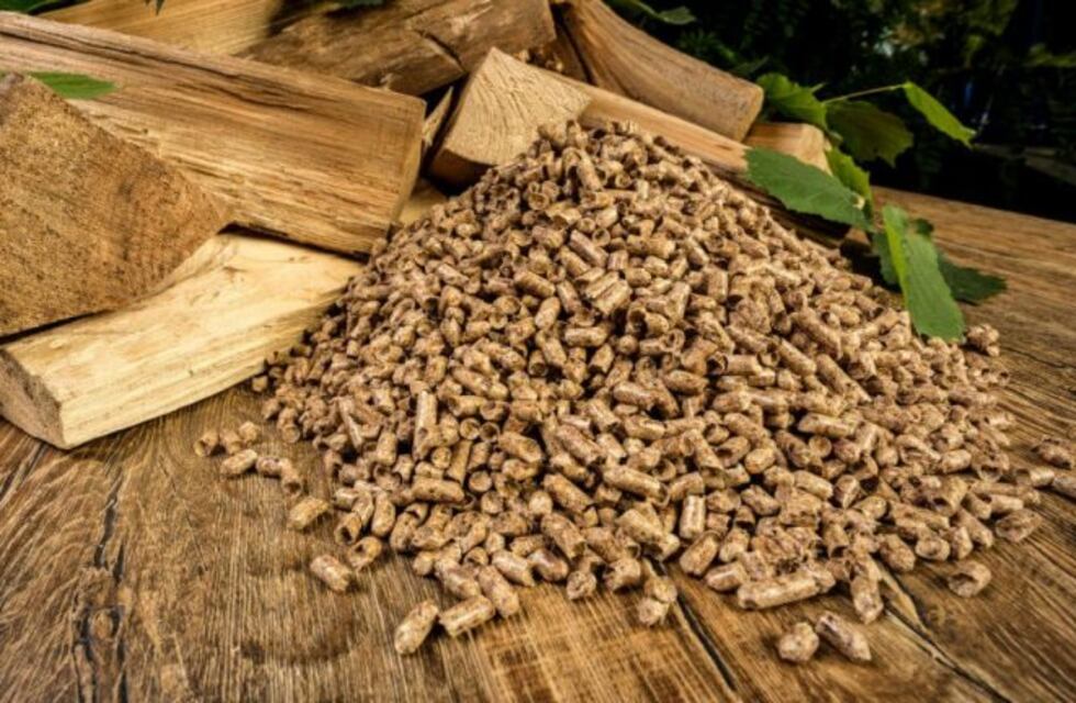 Producirán estufas que funcionan con pellets de madera en Capioví